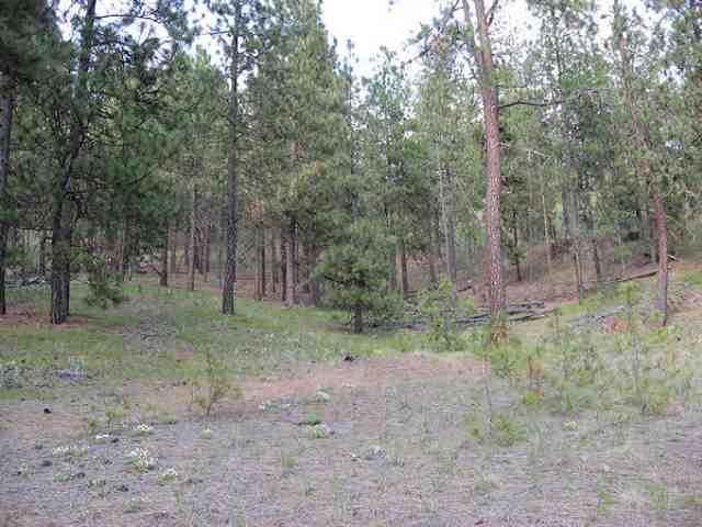 0 South Hatch Road Spokane, WA 99223 - Photo 3 of 9