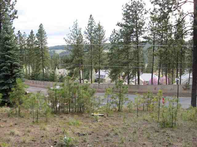 0 South Hatch Road Spokane, WA 99223 - Photo 5 of 9