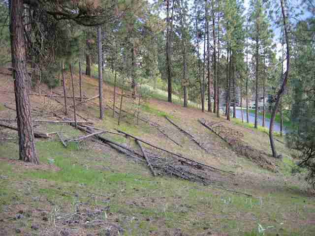 0 South Hatch Road Spokane, WA 99223 - Photo 6 of 9
