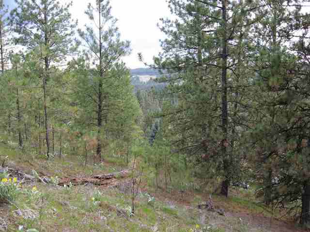 0 South Hatch Road Spokane, WA 99223 - Photo 7 of 9