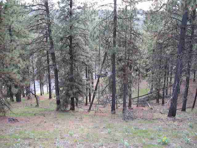 0 South Hatch Road Spokane, WA 99223 - Photo 8 of 9