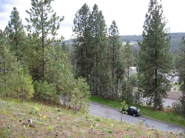 0 South Hatch Road Spokane, WA 99223 - Photo 9 of 9