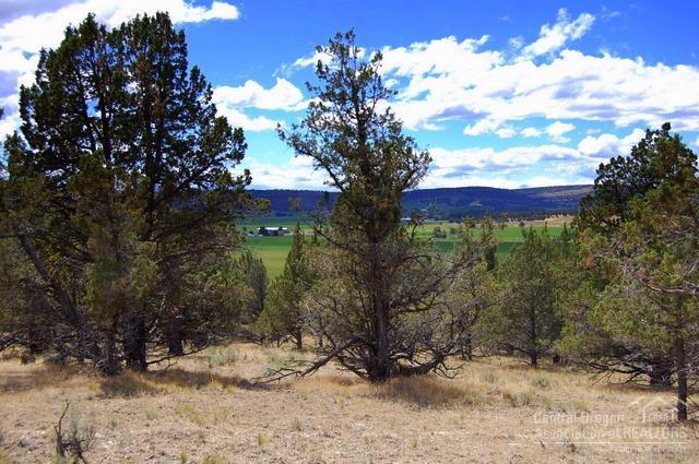 10454 Grizzly Road Prineville, OR 97754 - Photo 2 of 23 Gallery Image 2