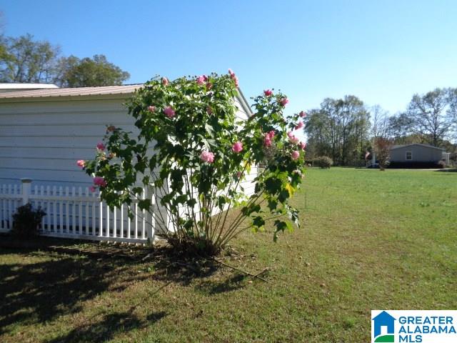 118 Whitney Circle Vincent, AL 35178 - Photo 8 of 24