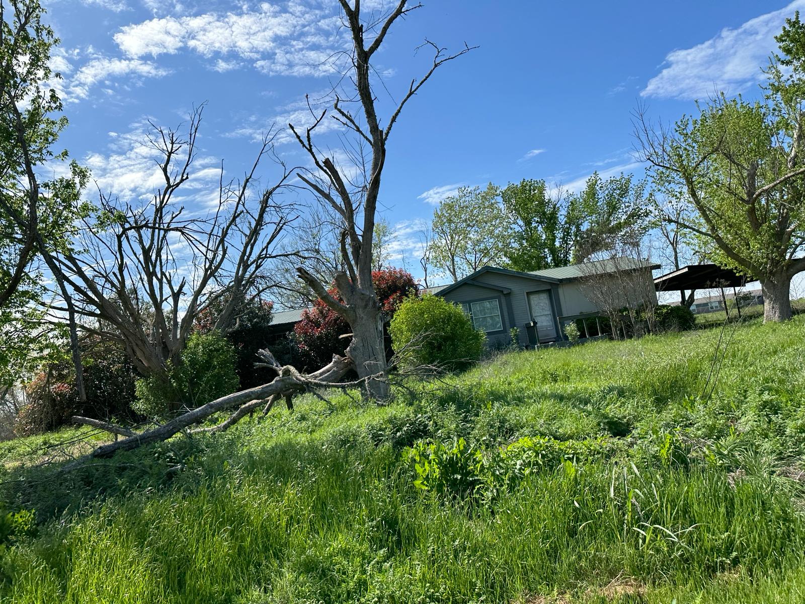 900 County Road 406 Taylor, TX 76574 - Photo 3 of 13 a view of a garden with a bench
