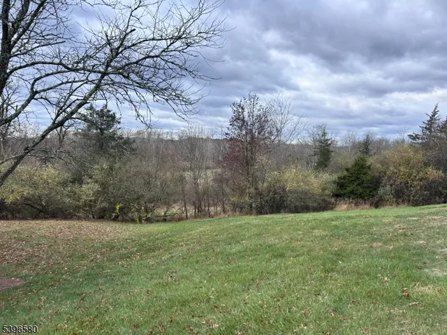 a view of a yard with an trees