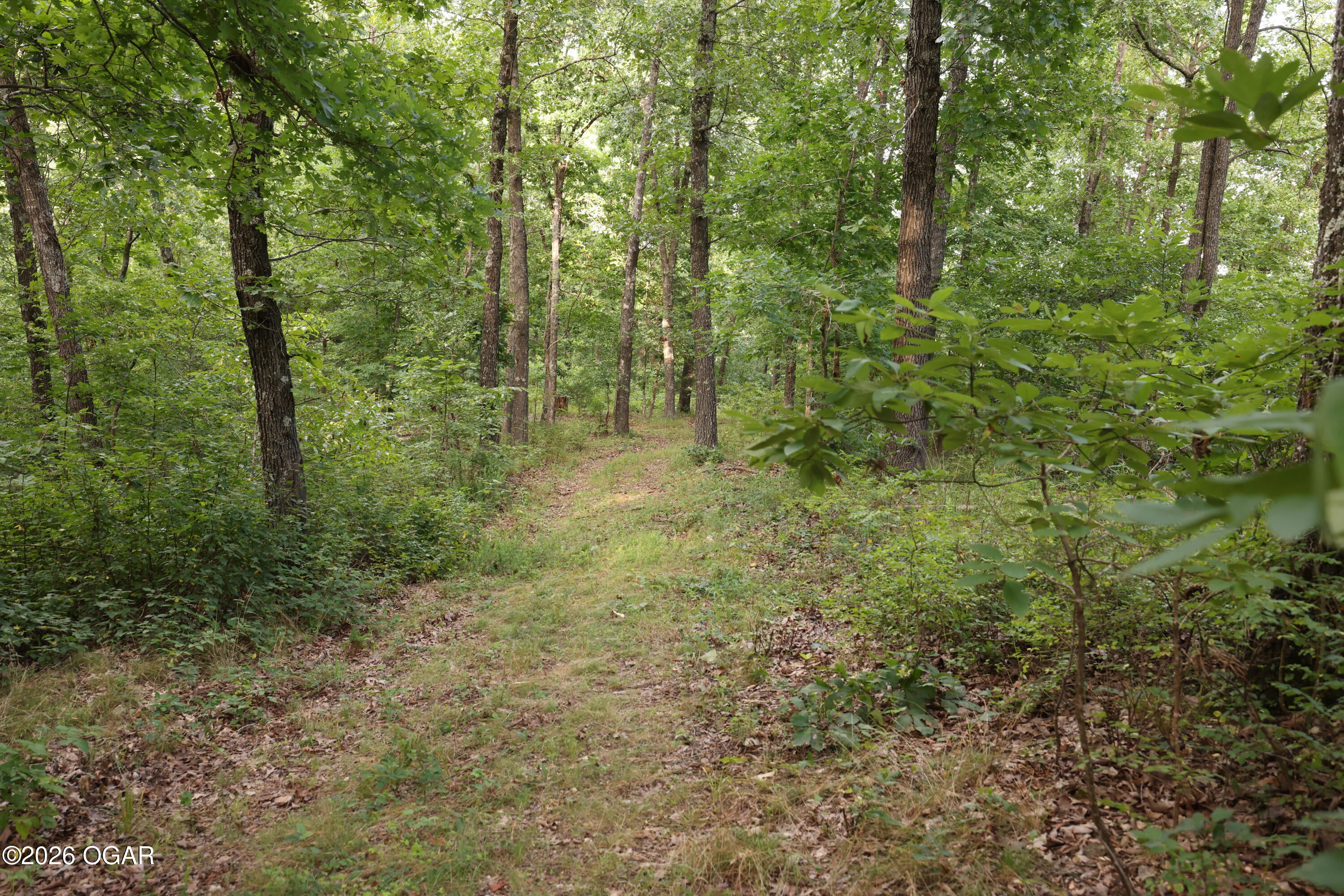 861 Tilden Road Galena, MO 65656 - Photo 22 of 67 Gallery Image 22