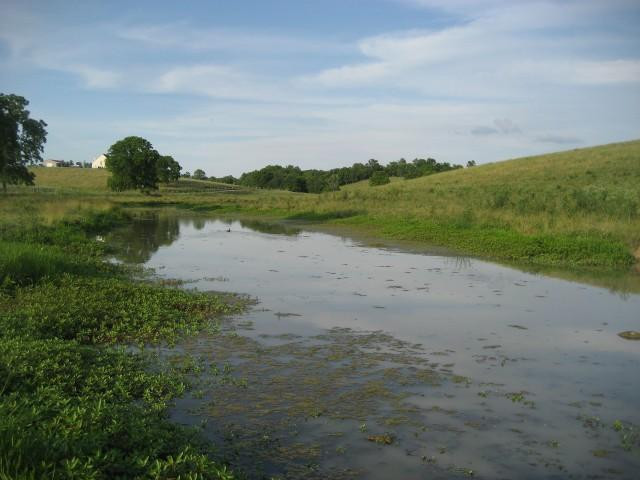 100 Concord & Burris Road Carlisle, KY 40311 - Photo 1 of 9 Photo 1
