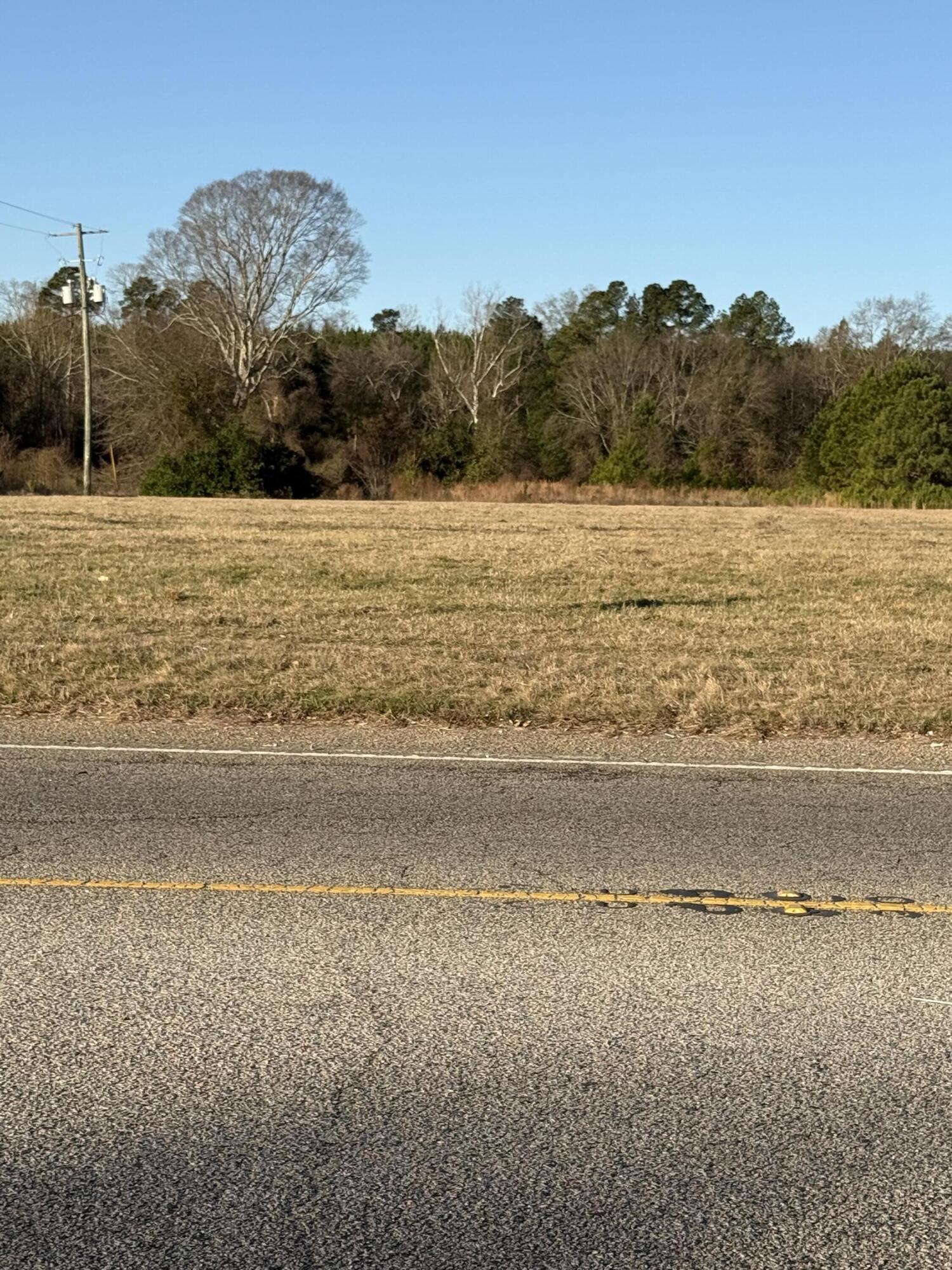 1210 Peach Orchard Road Sumter, SC 29154 - Photo 2 of 2