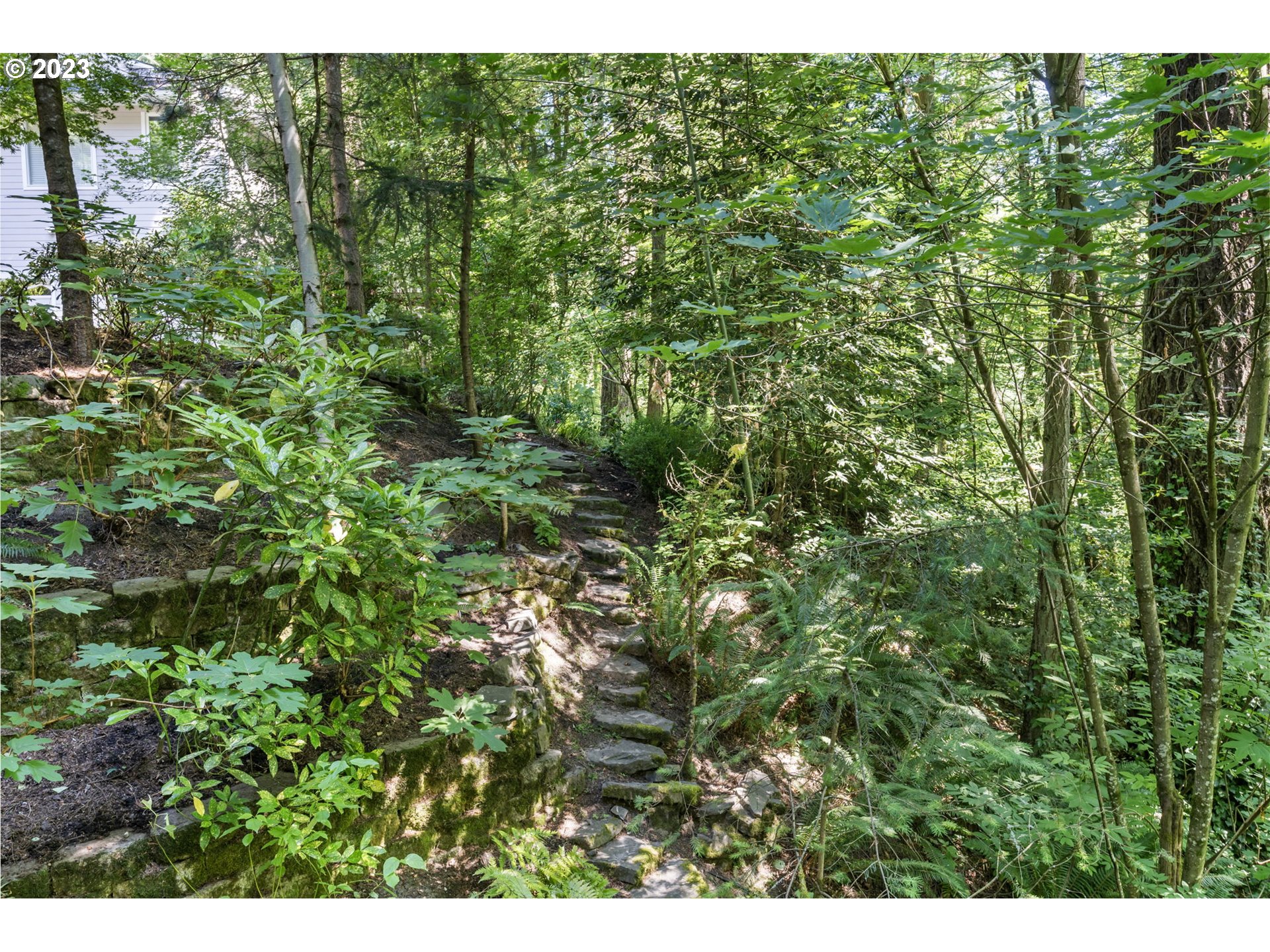4410 West Burnside Road Portland, OR 97210 - Photo 37 of 42 a view of a lush green forest