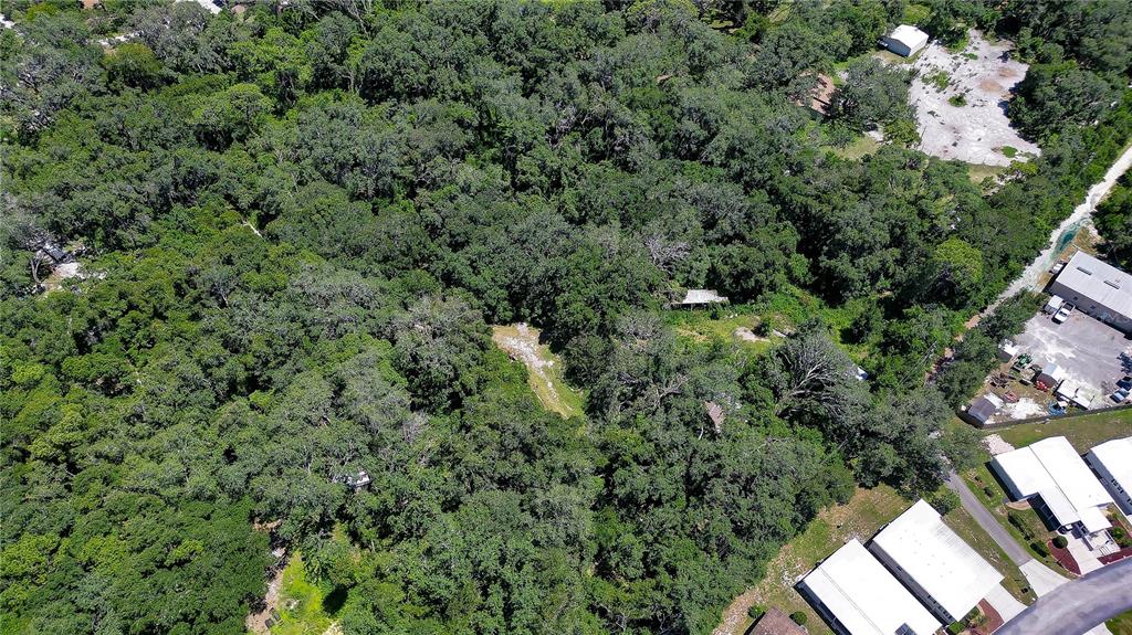 3801 Pate Road Zephyrhills, FL 33541 - Photo 8 of 63 Gallery Image 8