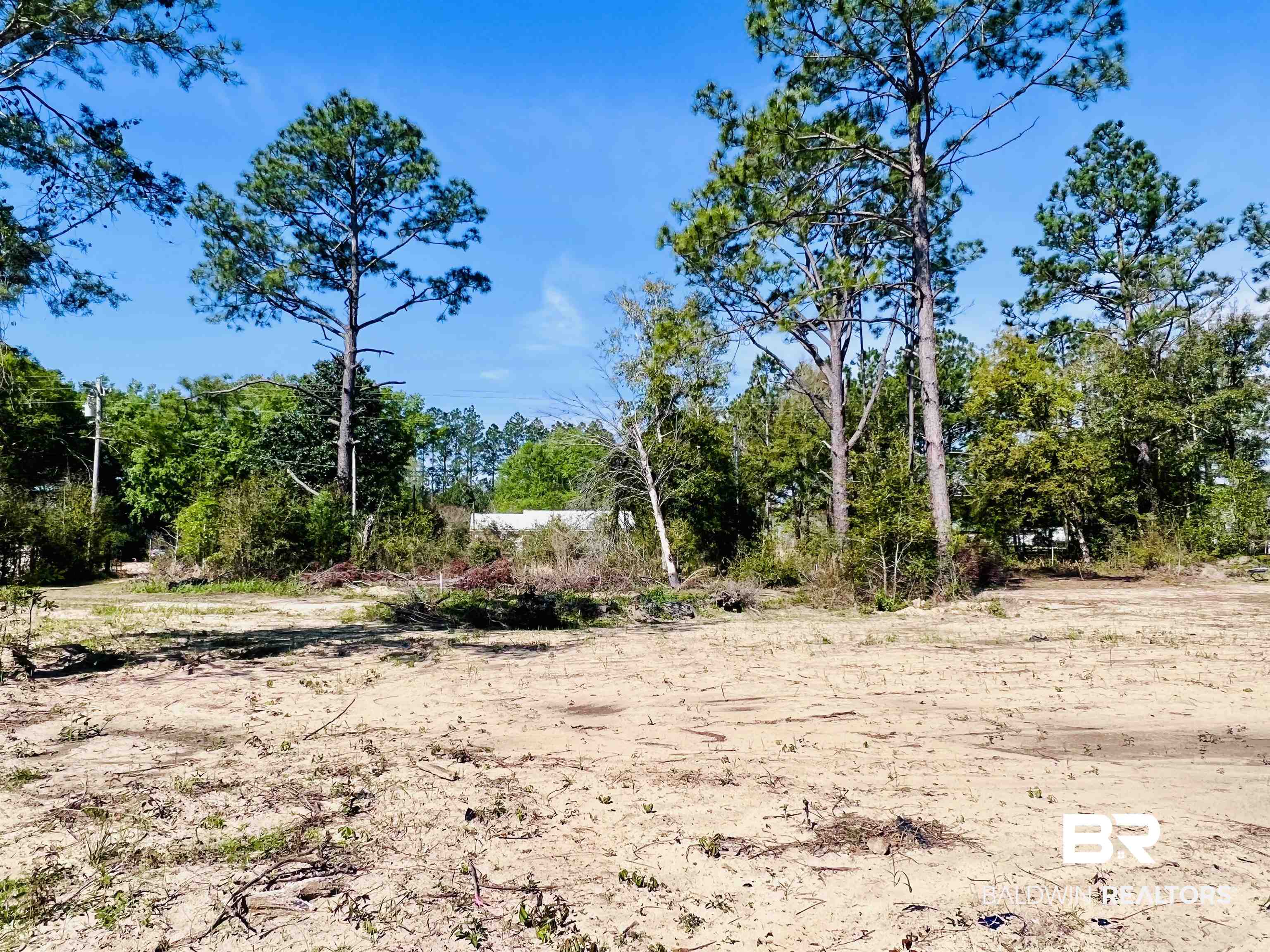 19338 3 Rivers Road Seminole, AL 36574 - Photo 8 of 20