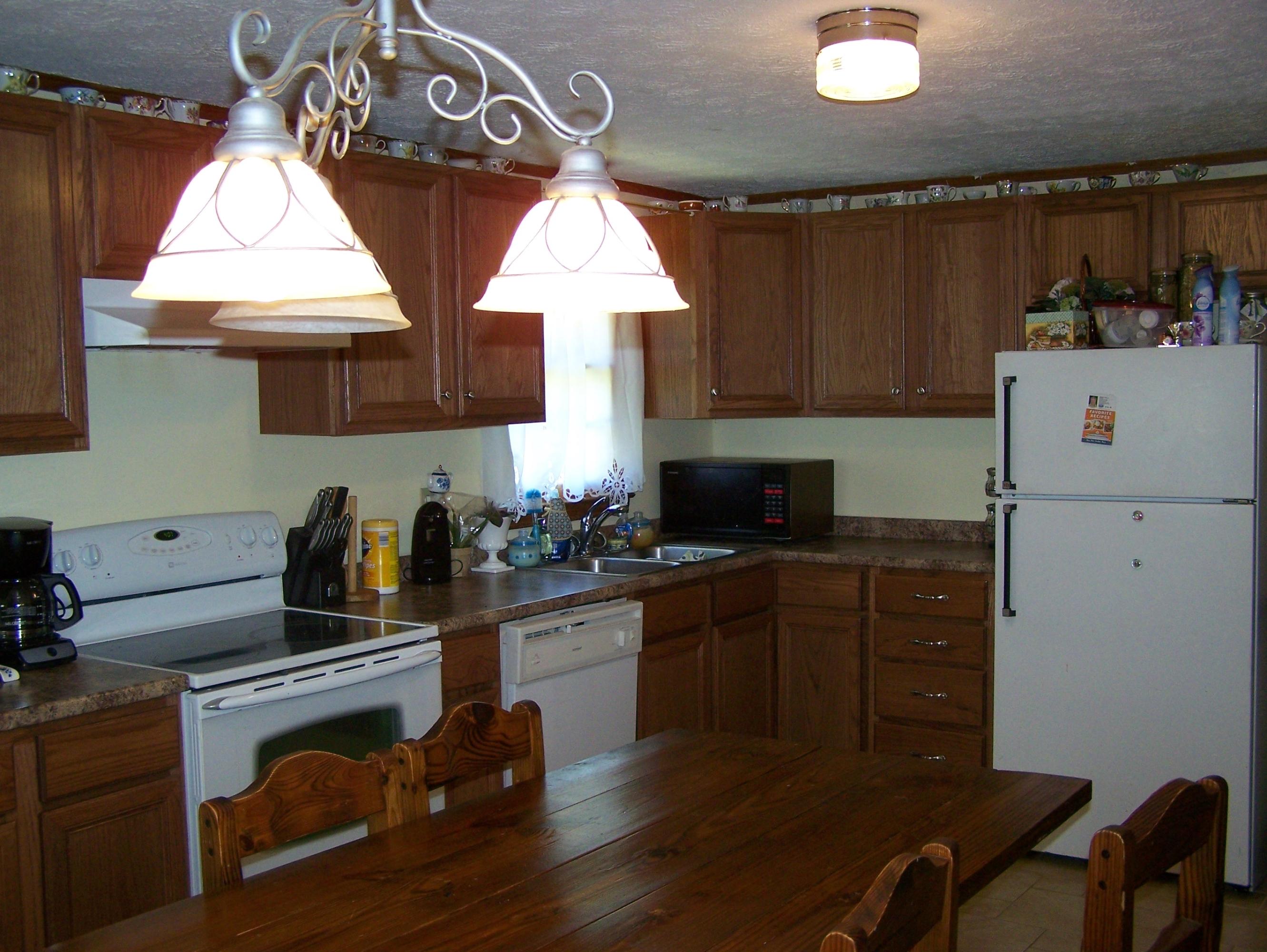 7426 Pinto Lane Corryton, TN 37721 - Photo 5 of 14 Pinto Kit view 1