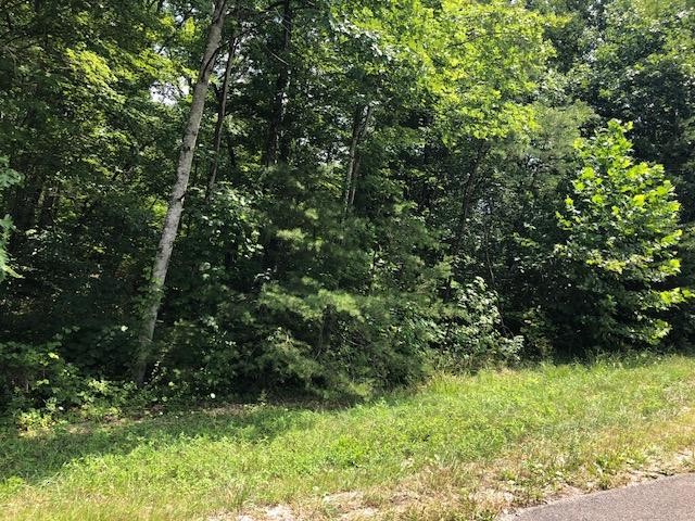 45 Cliff Park Road Monterey, TN 38574 - Photo 14 of 29 a view of outdoor space and yard
