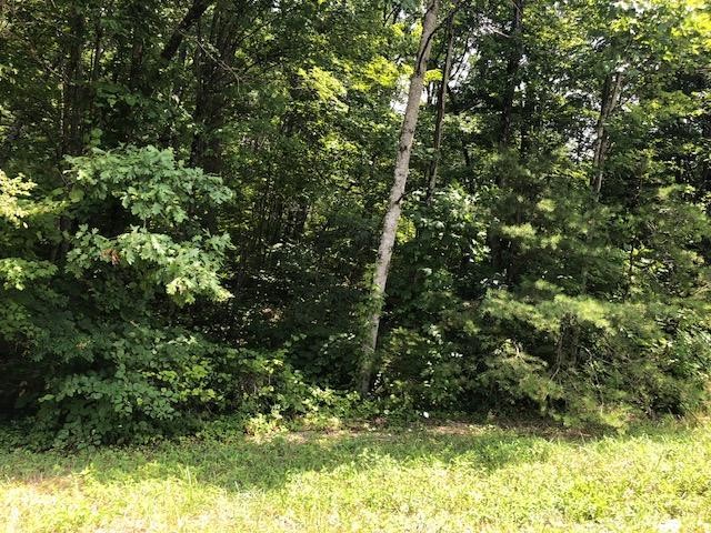 45 Cliff Park Road Monterey, TN 38574 - Photo 15 of 29 a view of a yard