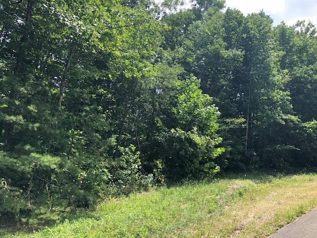 45 Cliff Park Road Monterey, TN 38574 - Photo 16 of 29 a view of a garden