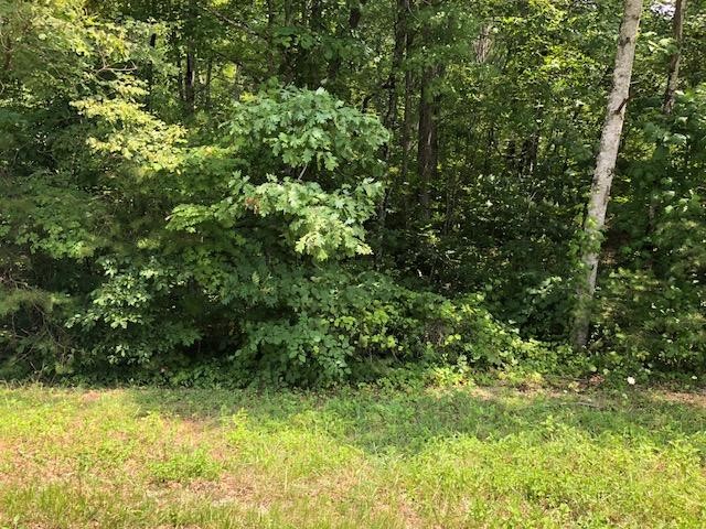 45 Cliff Park Road Monterey, TN 38574 - Photo 18 of 29 a view of a yard with plants