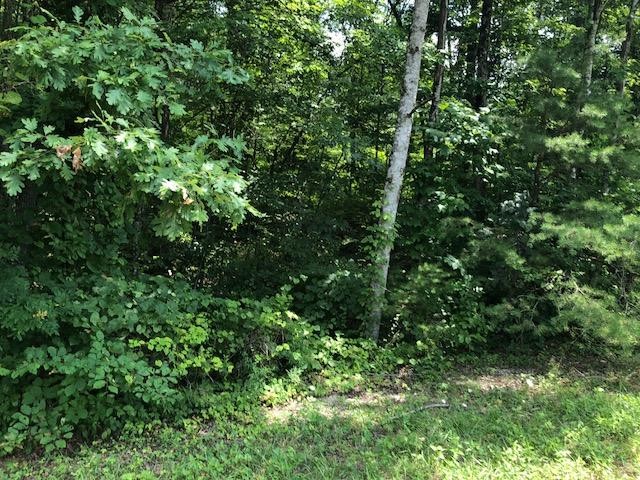 45 Cliff Park Road Monterey, TN 38574 - Photo 21 of 29
