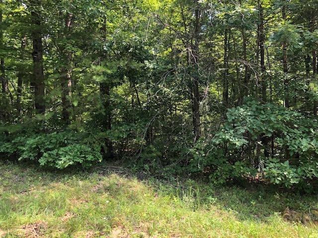 45 Cliff Park Road Monterey, TN 38574 - Photo 23 of 29 a view of a garden