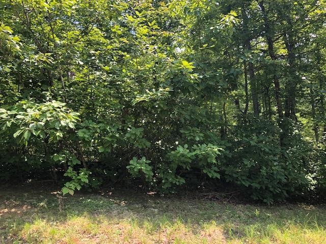 45 Cliff Park Road Monterey, TN 38574 - Photo 25 of 29 a view of lake