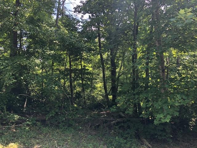 45 Cliff Park Road Monterey, TN 38574 - Photo 26 of 29 a view of forest