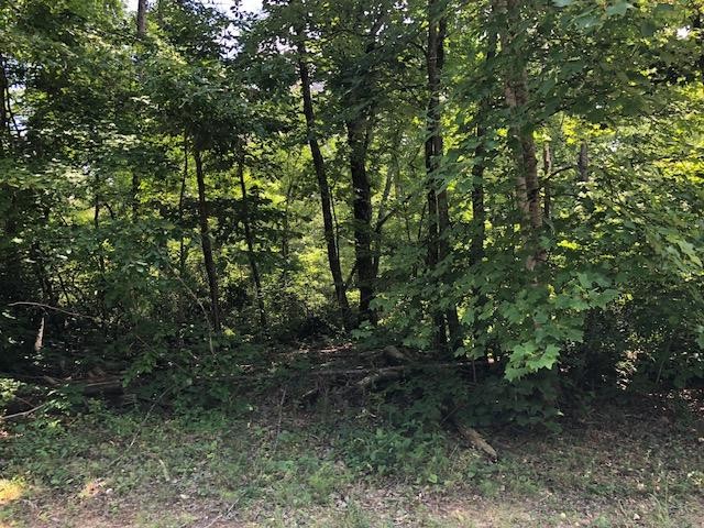 45 Cliff Park Road Monterey, TN 38574 - Photo 27 of 29 a view of outdoor space and trees