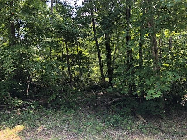 45 Cliff Park Road Monterey, TN 38574 - Photo 28 of 29 a view of outdoor space and trees