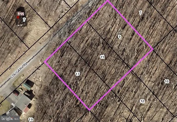 $34,900 | Lot 9-11 Cougar Trail, Winchester, VA 22602