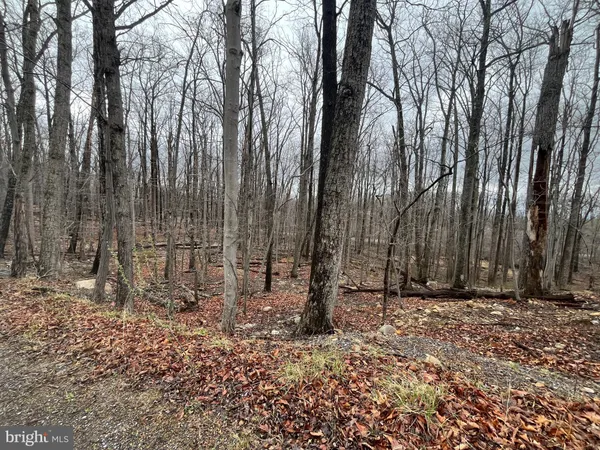 $34,900 | Lot 9-11 Cougar Trail, Winchester, VA 22602