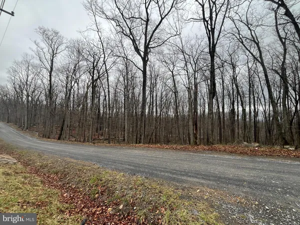 $34,900 | Lot 9-11 Cougar Trail, Winchester, VA 22602