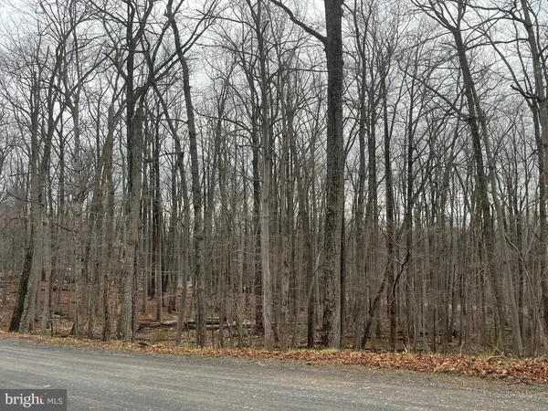 $34,900 | Lot 9-11 Cougar Trail, Winchester, VA 22602