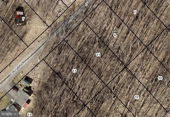 $34,900 | Lot 9-11 Cougar Trail, Winchester, VA 22602