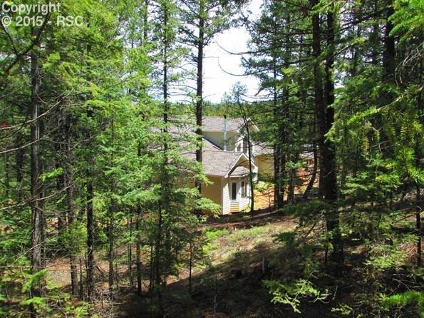 338 Granite Road Florissant, CO 80816 - Photo 9 of 9 Gallery Image 9