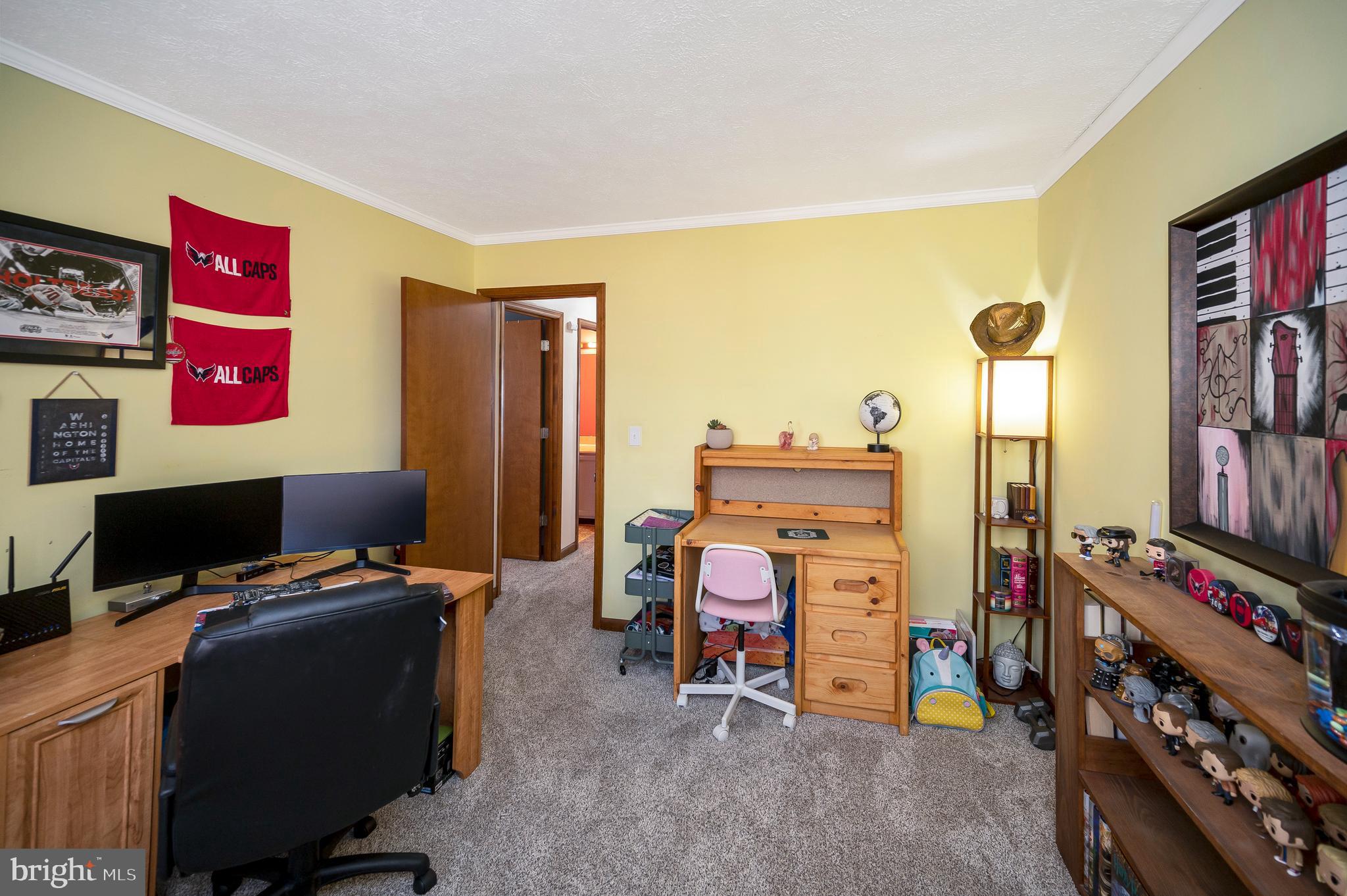 424 Birdie Road Locust Grove, VA 22508 - Photo 19 of 42 Bedroom 2 can accommodate lots of toys