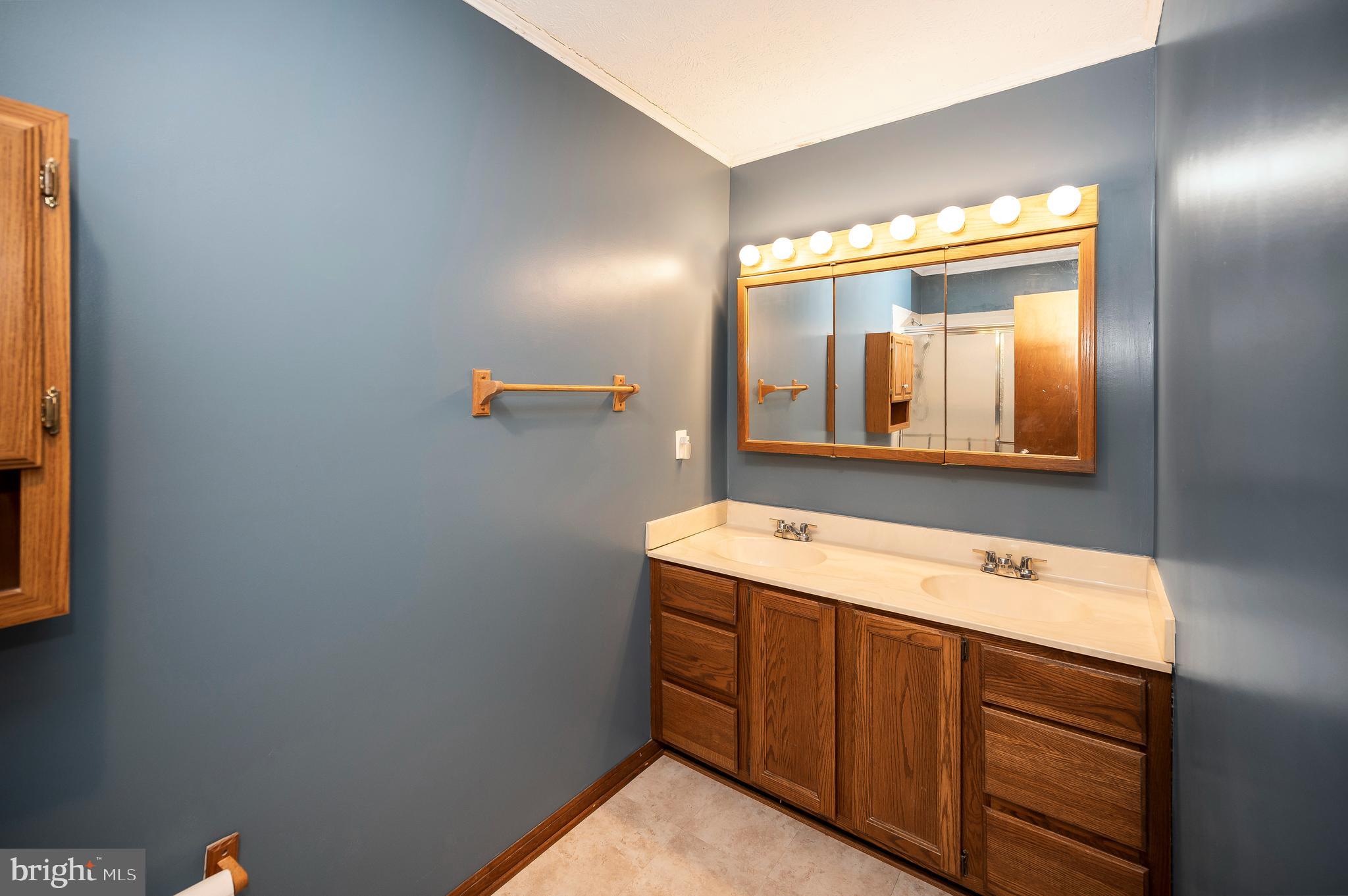 424 Birdie Road Locust Grove, VA 22508 - Photo 25 of 42 Primary bathroom double vanity