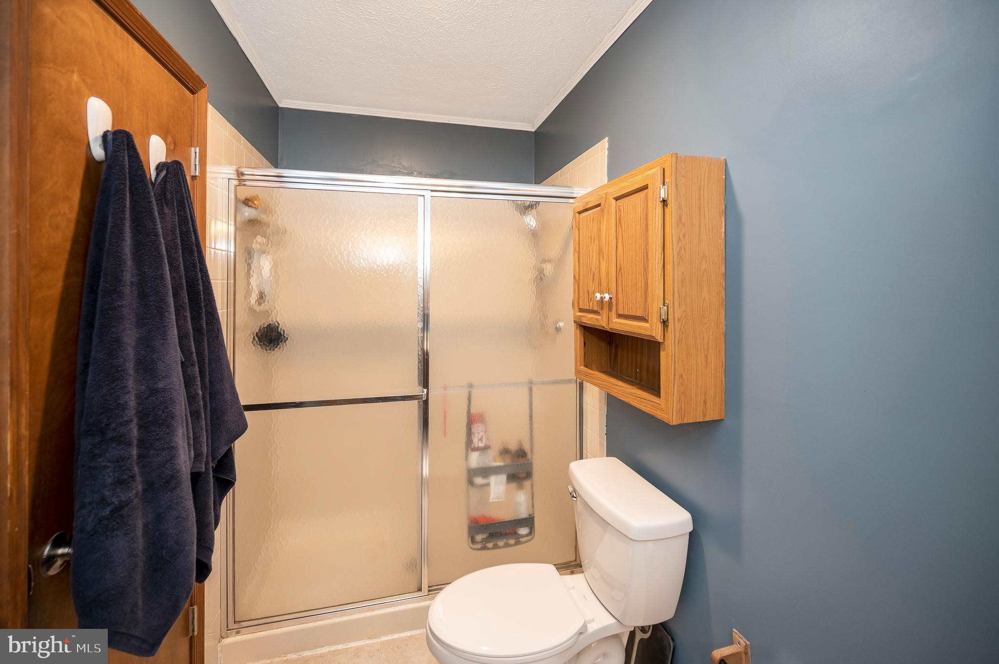 424 Birdie Road Locust Grove, VA 22508 - Photo 26 of 42 Stand up shower