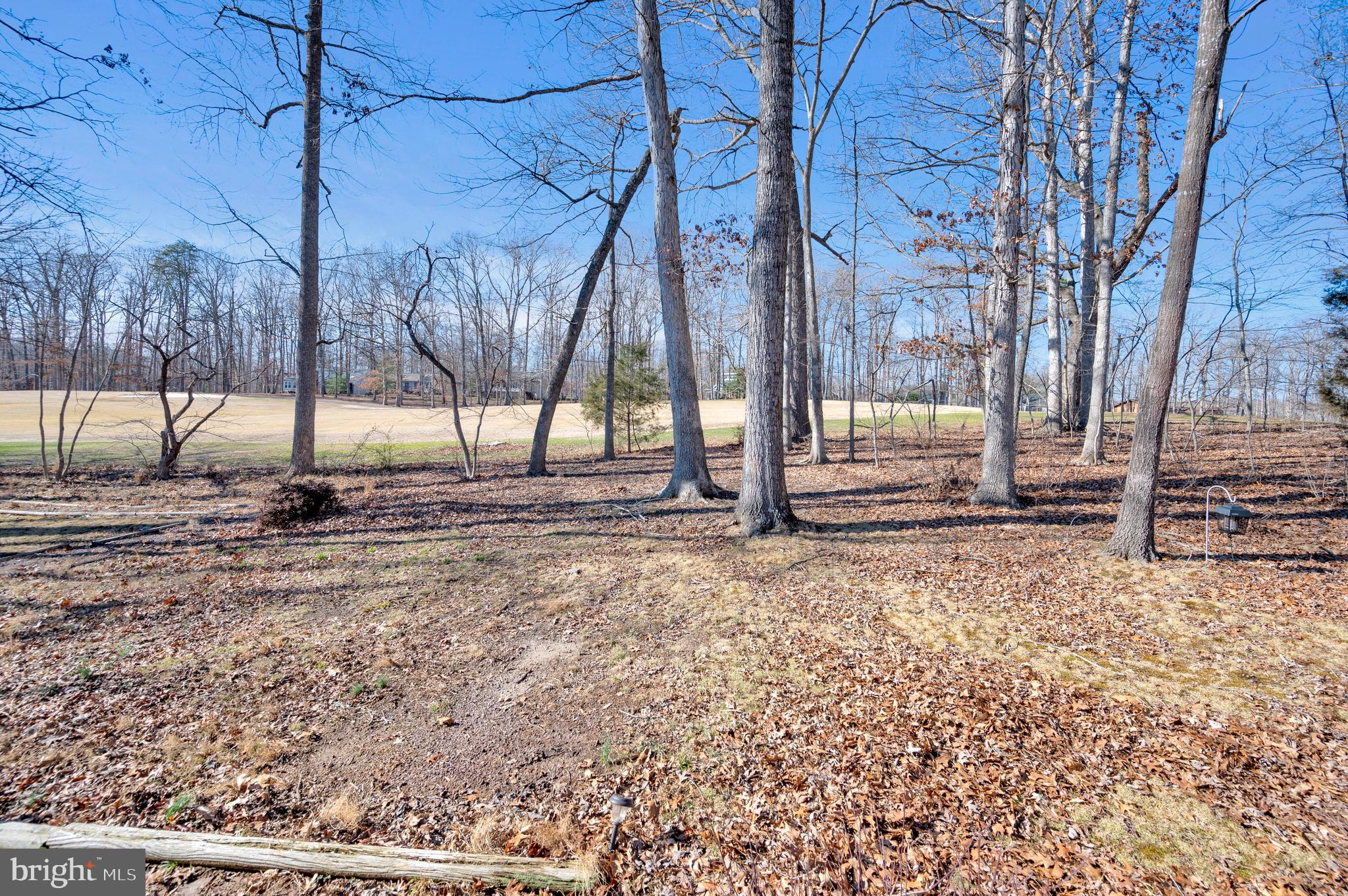 424 Birdie Road Locust Grove, VA 22508 - Photo 28 of 42 Golf course view from backyard