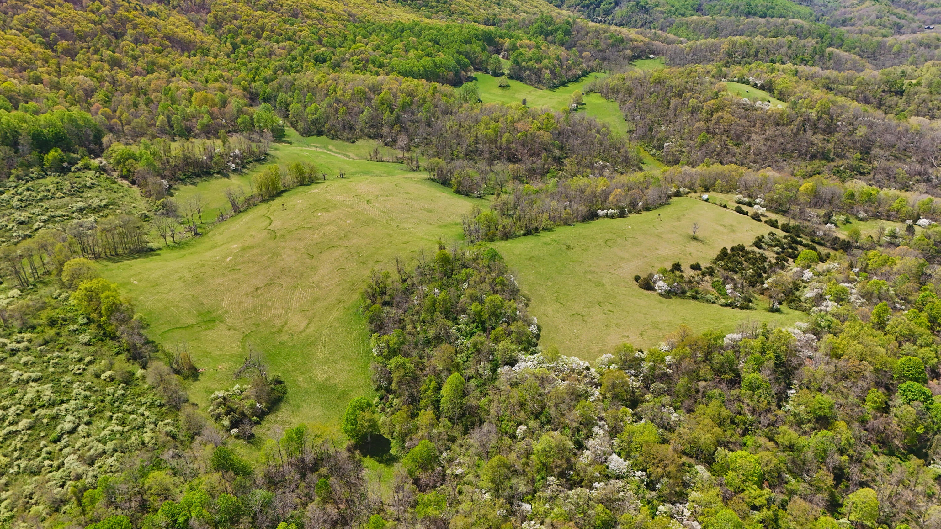 Buster Brown Road Union, WV 24983 - Photo 9 of 42 Gallery Image 9