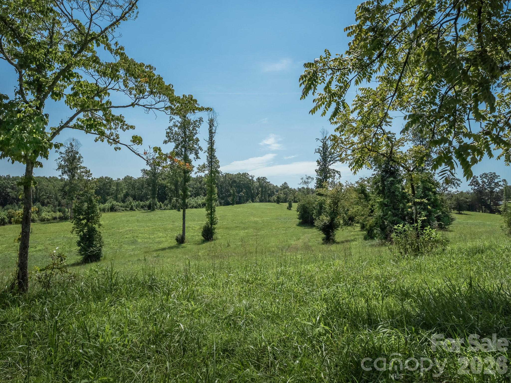 473 McEntire Road Tryon, NC 28782 - Photo 6 of 22 Gallery Image 6