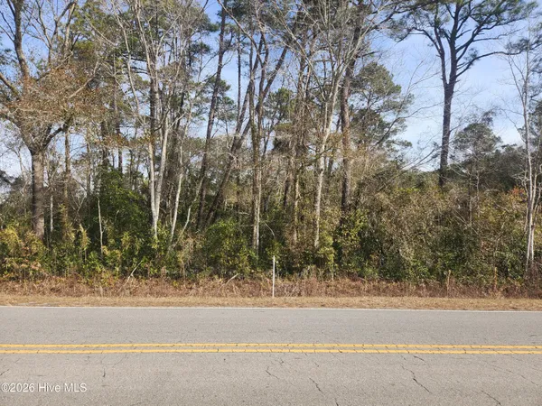 $25,000 | 9-ac Colon Mintz Road Northeast, Leland, NC 28451