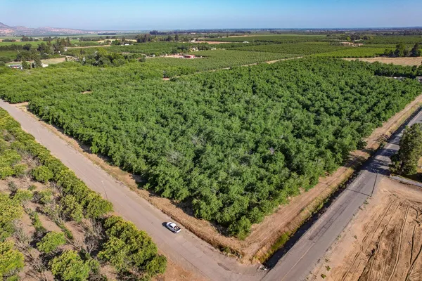 a view of a lush green forest with lots of green space
