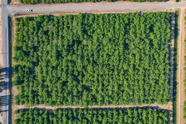 $400,000 | 6400 Williston Road, Live Oak, CA 95953