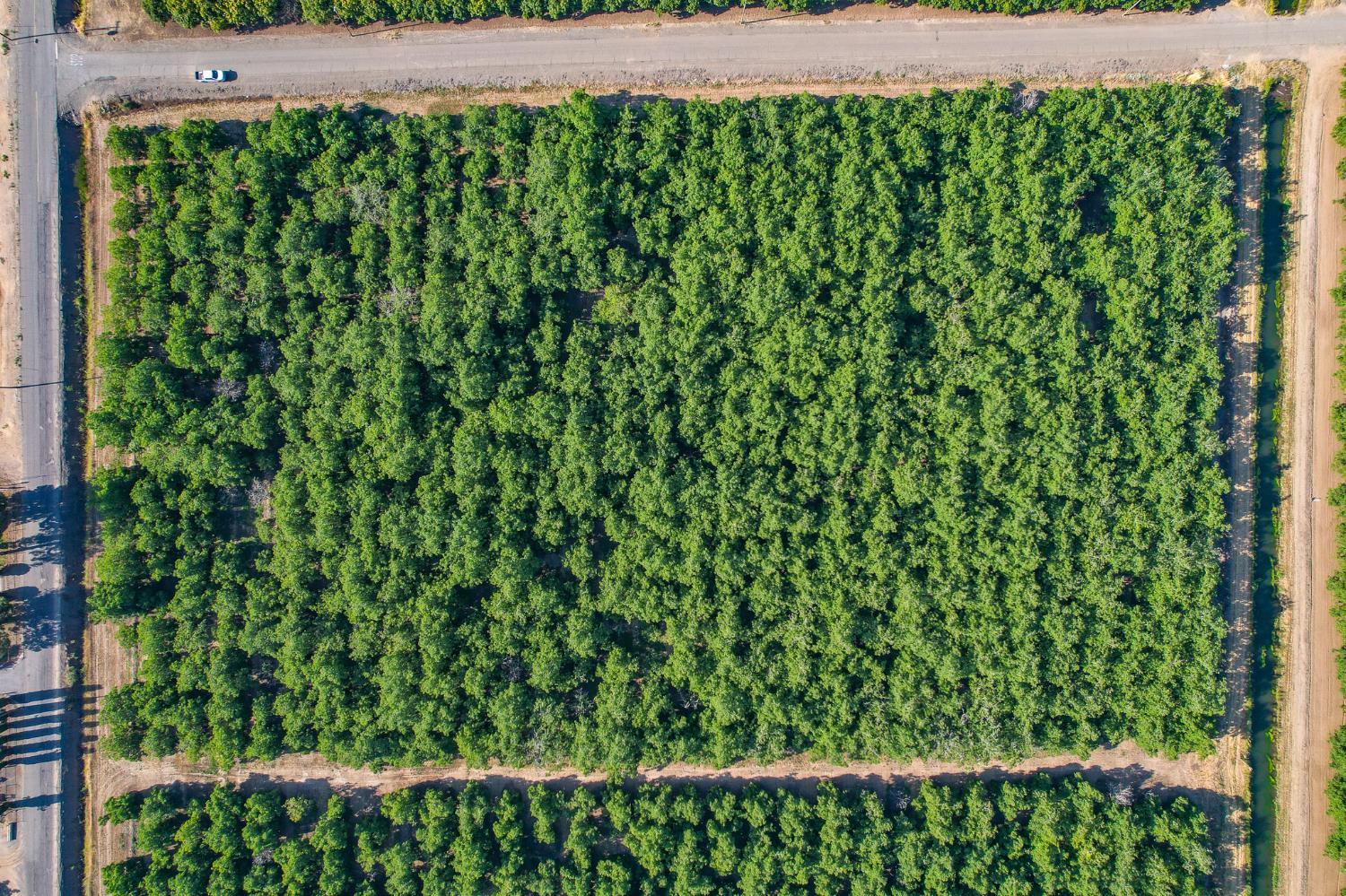 6400 Williston Road Live Oak, CA 95953 - Photo 3 of 3