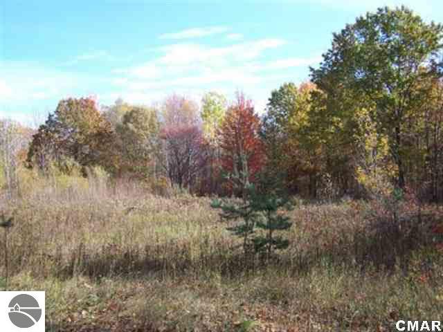 1000 South Loomis Road Mount Pleasant, MI 48858 - Photo 6 of 9 1764994-5.JPG