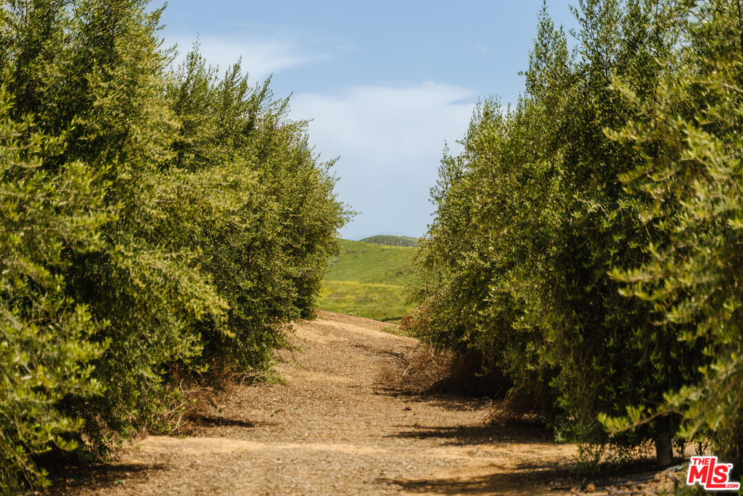 15101 Middle Ranch Road Moorpark, CA 93021 - Photo 16 of 28 a view of a lake from a yard