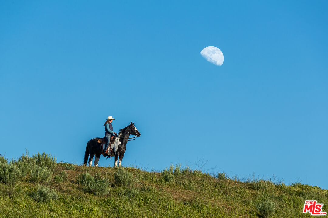 15101 Middle Ranch Road Moorpark, CA 93021 - Photo 27 of 28 a view of a yard