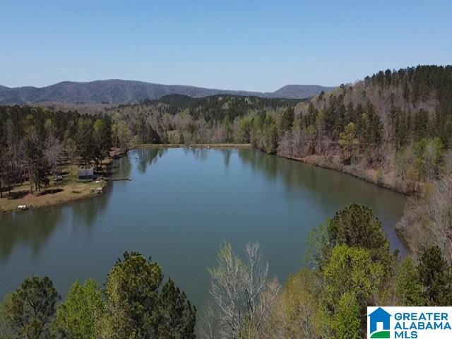 3400 Idaho Road Ashland, AL 36251 - Photo 37 of 41