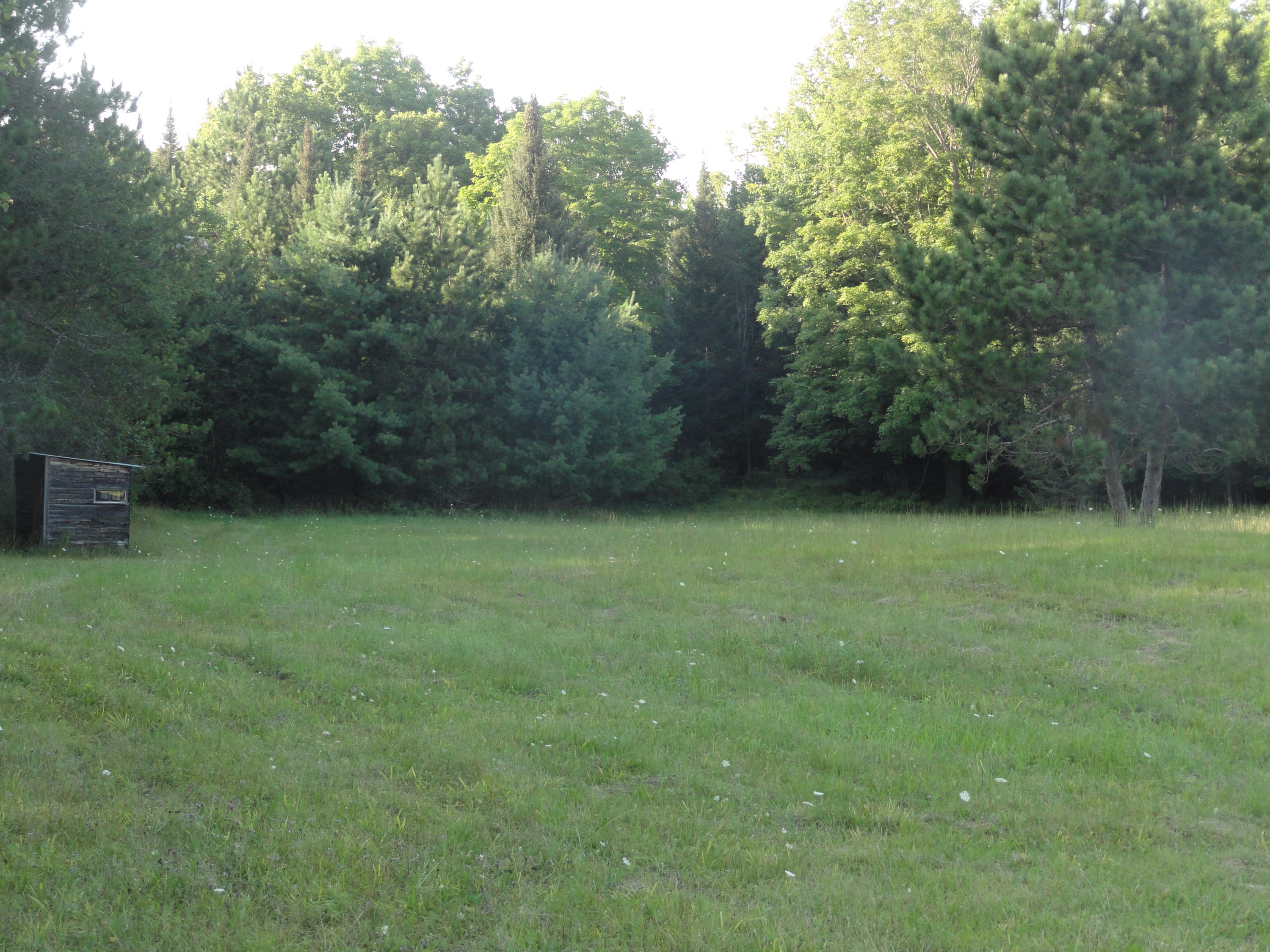 East Tower Road Onaway, MI 49765 - Photo 13 of 13 Gallery Image 13