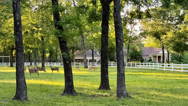 a view of a park with iron fence