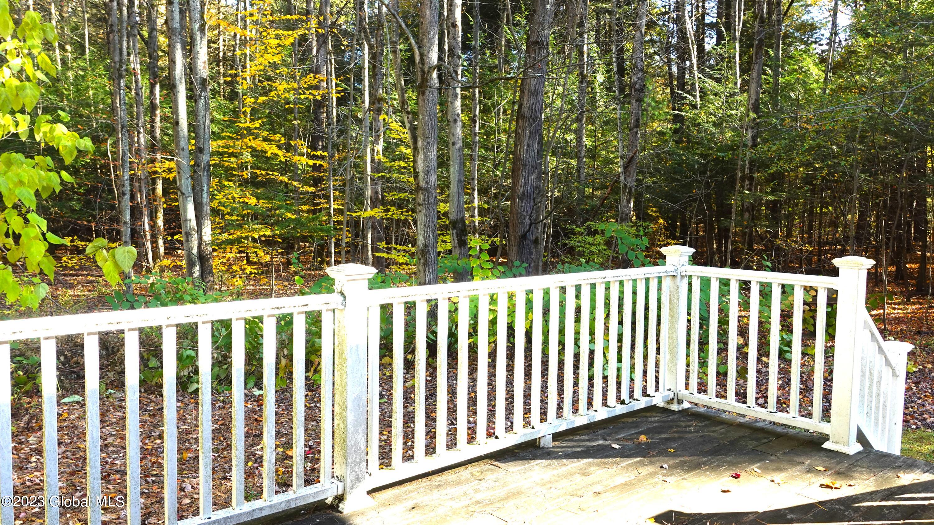 2669 West Old State Road Guilderland, NY 12306 - Photo 30 of 51 MAster Deck